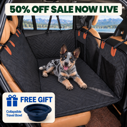 WanderPup Back Seat Dog Cover with Hard Bottom
