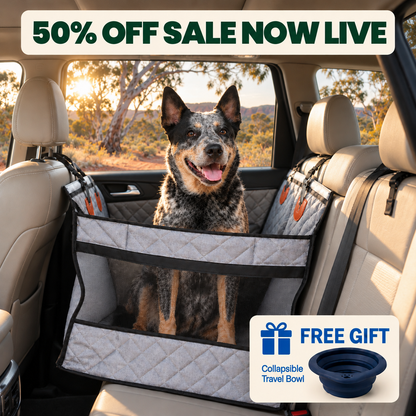 WanderPup Single Dog Travel Seat