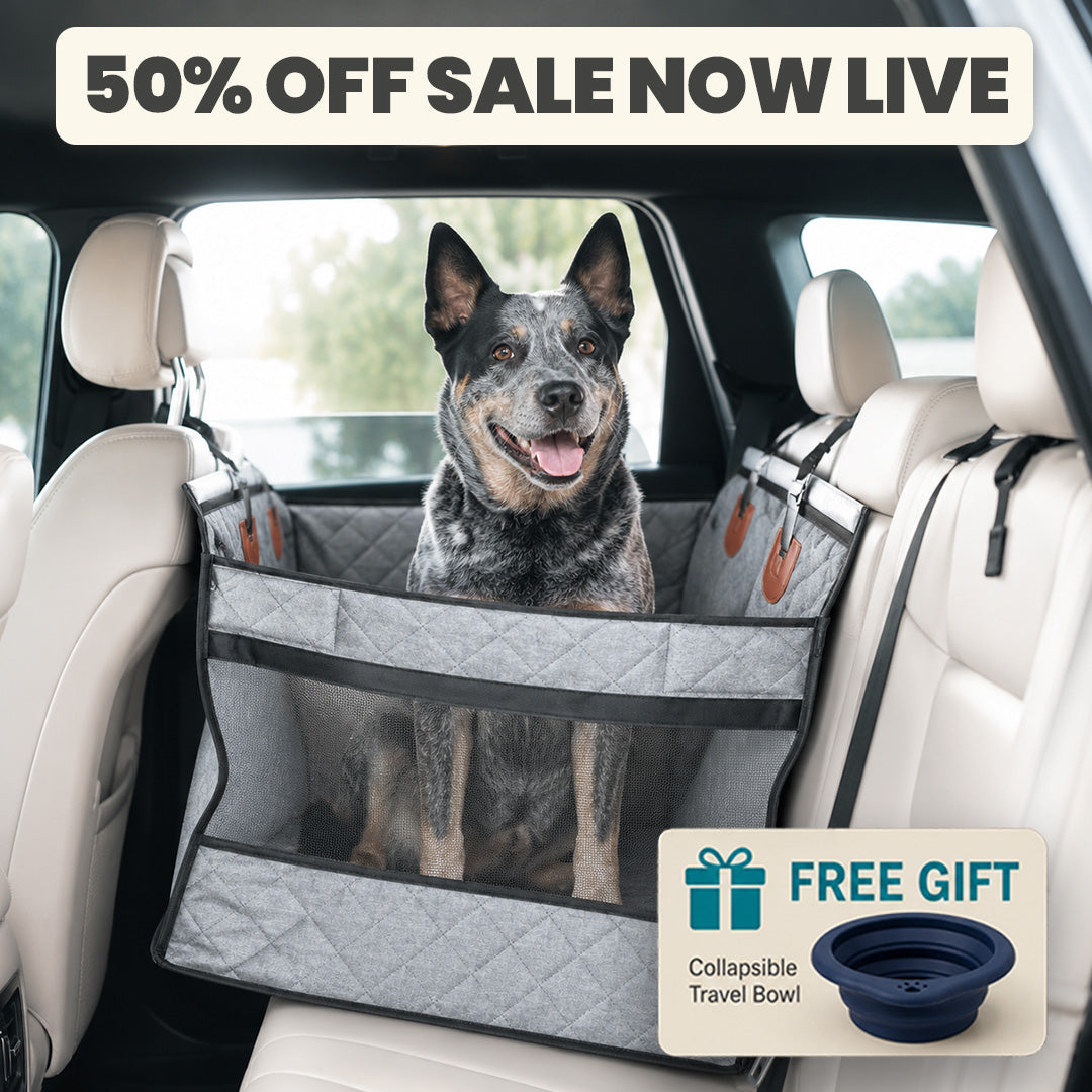 WanderPup Comfort Dog Travel Seat