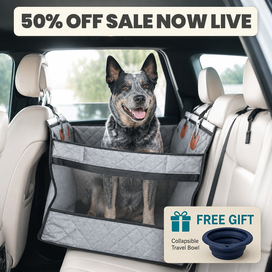 WanderPup Comfort Dog Travel Seat