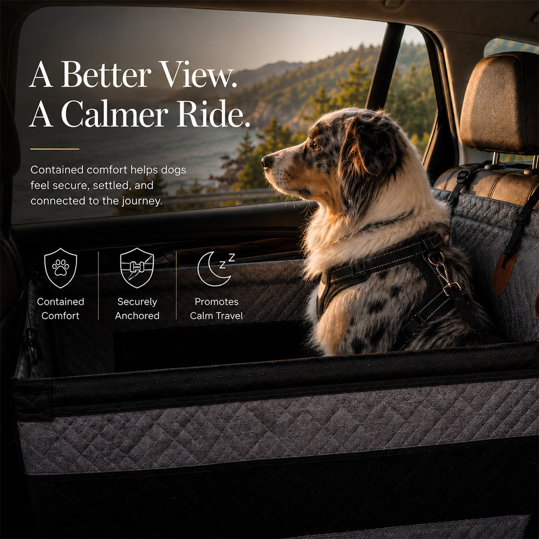 WanderPup Comfort Dog Travel Seat